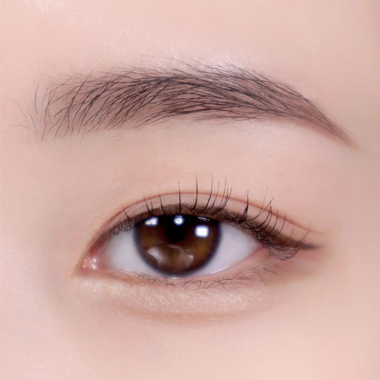 colorgram Shade Re-Forming Brush Liner