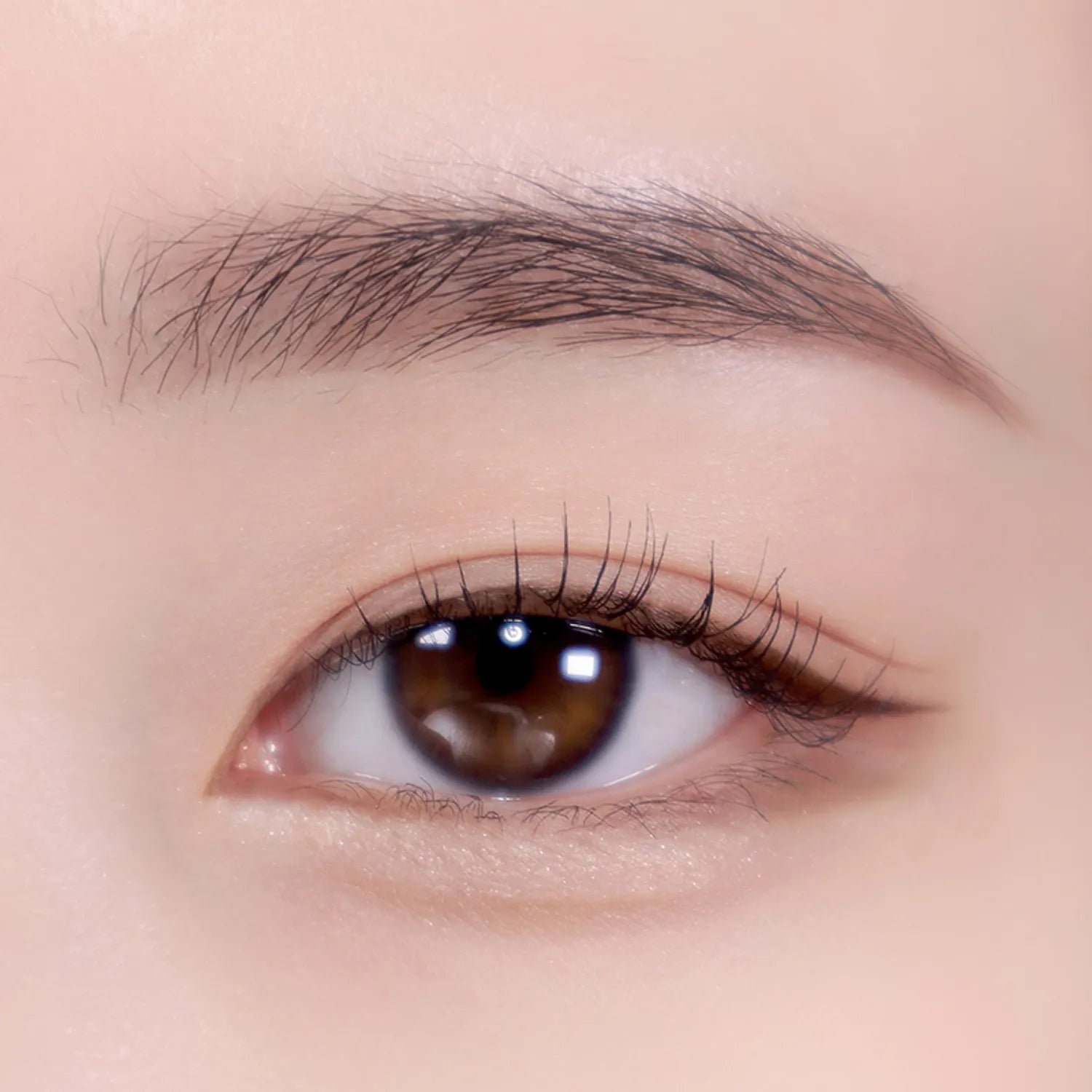 colorgram Shade Re-Forming Brush Liner