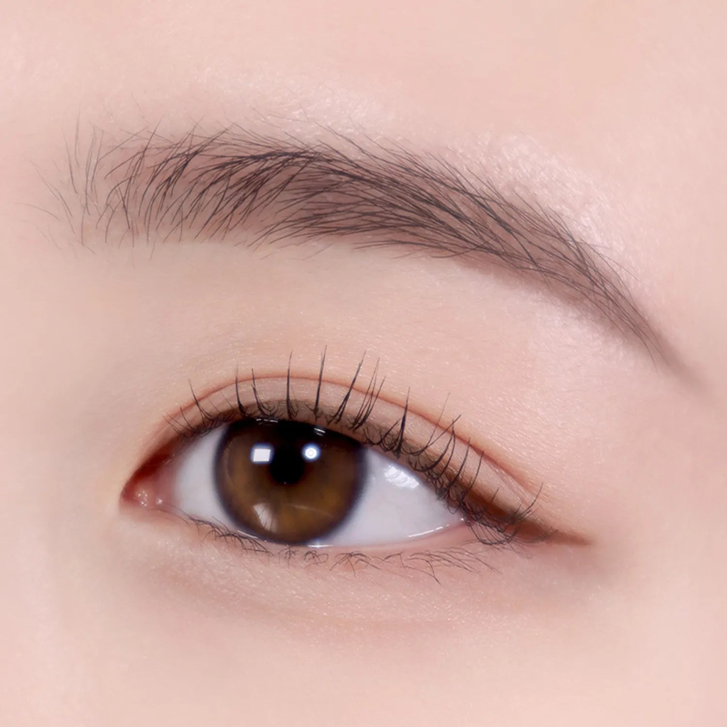 colorgram Shade Re-Forming Brush Liner