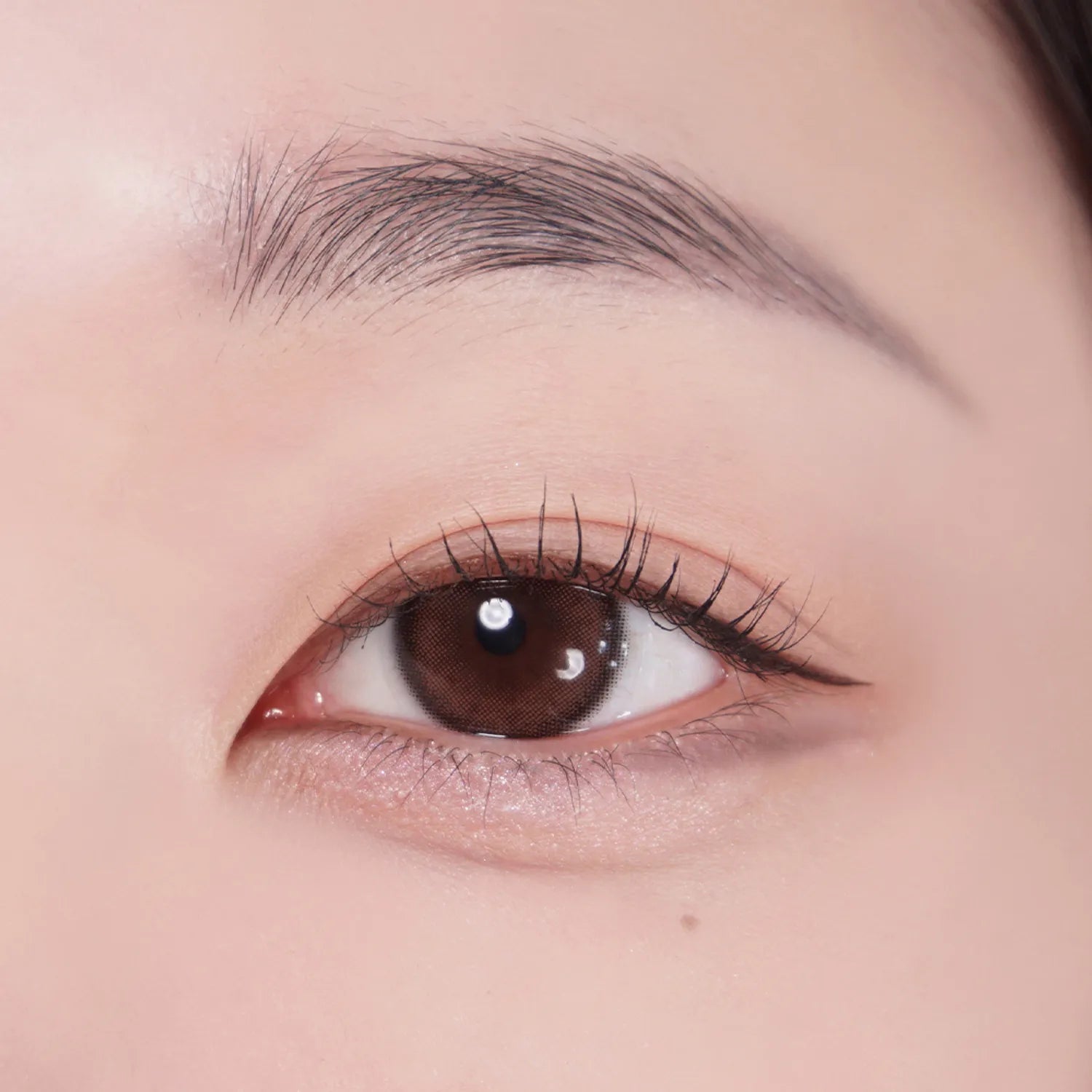 colorgram Shade Re-Forming Brush Liner