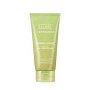 BRINGGREEN Artemisia Calming EX Modeling Pack to Foam Cleanser – Korean 2-in-1 mask and foam cleanser with Artemisia extract, hyaluronic acids, and gentle exfoliants.